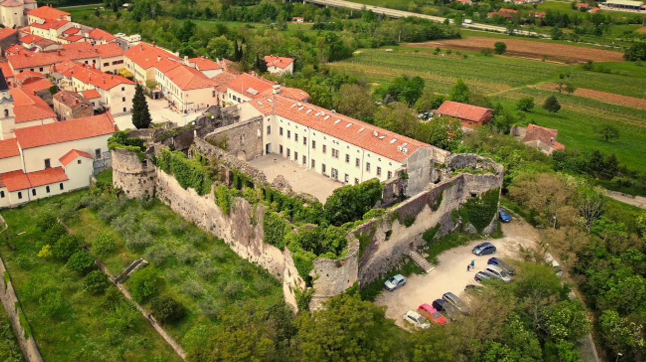 Dégustation de vins en Slovénie