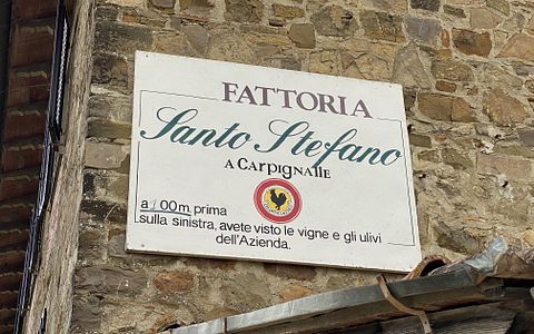 Visite des vins Bacco à la Fattoria Santo Stefano