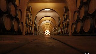 Bodega Las Virtudes
