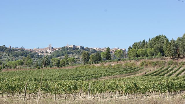 Lazzeretti Winery