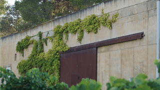 Cata de vinos y visita guiada en Biopaumera