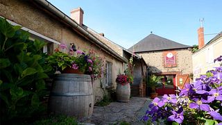 Vinprovning och rundtur på Domaine Blouin