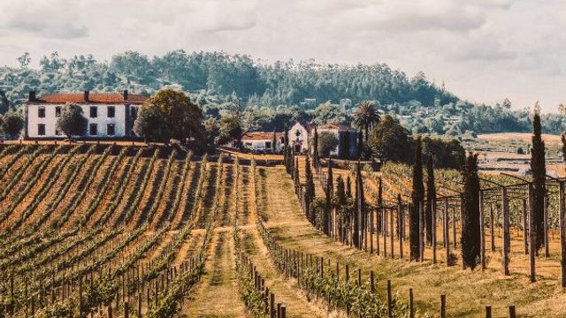 Terra Rosa Country House & Vineyards