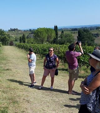 Taste Vernaccia & Tuscan Dishes with a Vineyard View