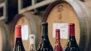 Besichtigung und Verkostung im Weingut Valdonica I Residenz I Restaurant