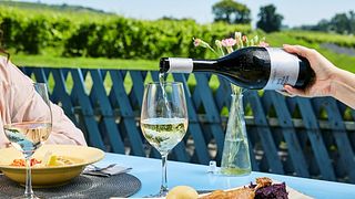 Cata de vinos y visita guiada en Diznókő