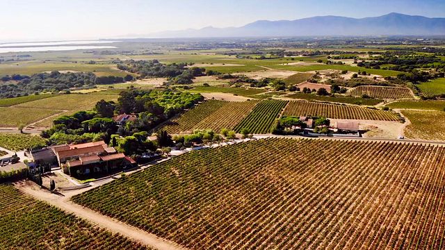 Cata de vinos y visita guiada en Mas Baux