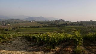 Degustazione e visita alla Fattoria Petriolo