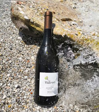 Cata de vinos y visita guiada a la bodega Idaia