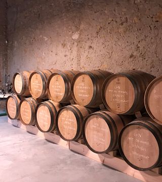 Cata de vinos en Celler Viader - Corpinnat