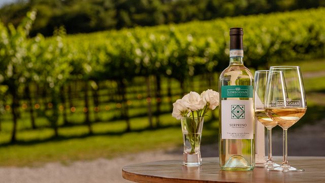 Olivenöl- und Weintour Colli Euganei