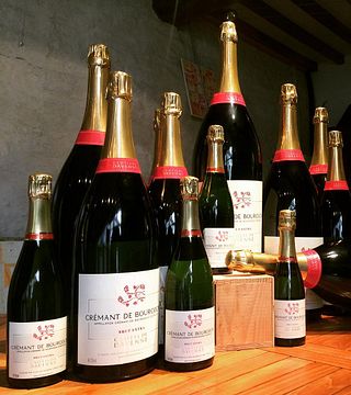 Degustação de Chablis no Domaine Clotilde Davenne em inglês