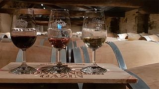 Besichtigung und Weinprobe | Château Monconseil-Gazin