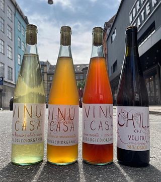Dégustation de vins naturels Nasciri et promenade dans les vignobles de Gerace, l'intemporelle
