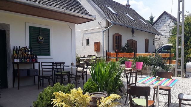 Degustazione di vini in una piccola e accogliente azienda vinicola a conduzione familiare vicino a Budapest