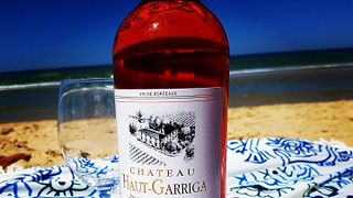 Degustação de vinhos e visitas em Vignobles Barreau