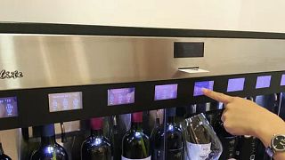 Pannon’s Finest: Rejiji Wine Journey