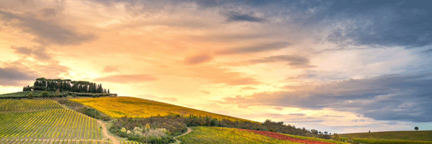 Valdarno Di Sopra Wine Region