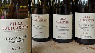 Degustação de Vinhos na Villa Calicantus