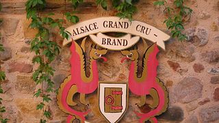 Dégustation et visite de vins chez François Baur