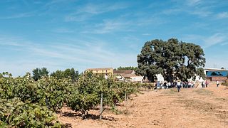 Bodegas Nodus
