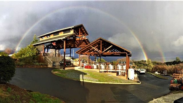 Degustação de vinhos e tour na Twisted Oak Winery