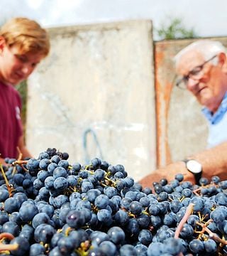Montefioralle Winery