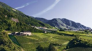 Pfitscher Winery