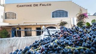 Cantine De Falco
