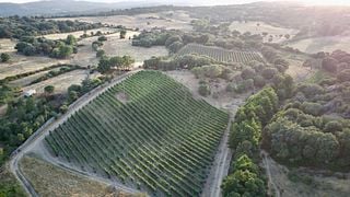 Degustação de vinhos e tour em La Neula