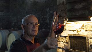 Vinprovning och rundtur på Fattoria Poggio Capponi