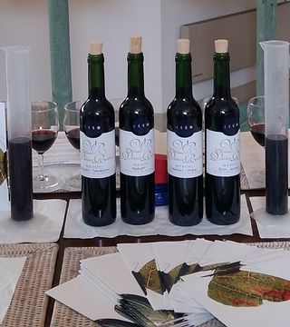 Degustação de vinhos e tour no Château Vieux Robin