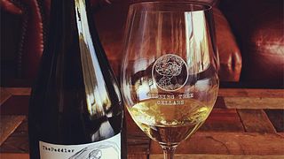 Weinprobe und Tour bei Burning Tree Cellars