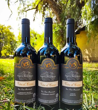 Viña El Cerno: Organic Wines from Mendoza