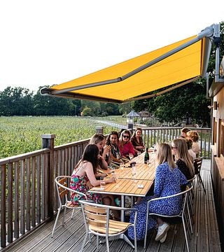 Visite du vignoble et dégustation à Oastbrook