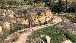 Family Vineyard Adventure: Catalonia Wine & Kids Fun