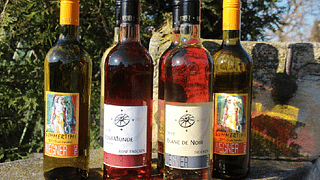 Pfalz Wine Escape: Tasting & Vineyard Tour at Wegner