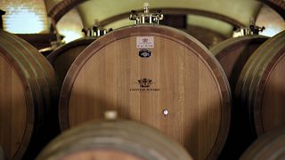 Dégustation de vins et visite à la Cantine Povero