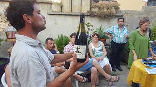 Cata de vinos y tour en Un Coin Sur Terre