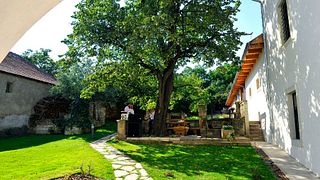 Barta Winery