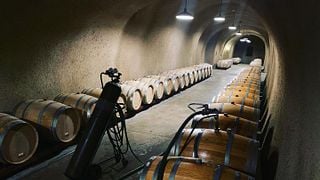 Jericho Canyon Vineyard