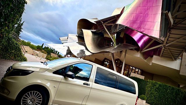 Visite de la Ribera del Duero au départ de Madrid : 4 domaines viticoles, 12 dégustations de vins et déjeuner