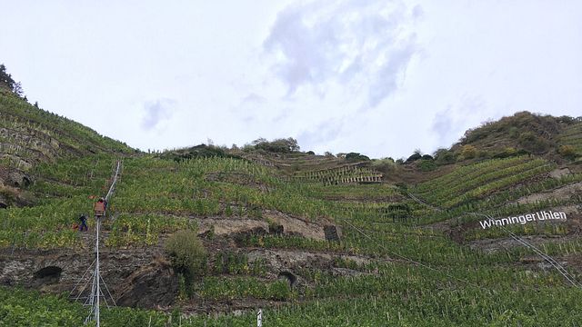 Weingut Heymann-Löwenstein