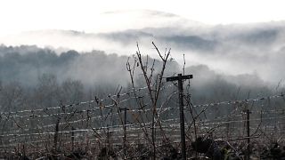 Degustazione di vini e tour a Terre des 2 Sources