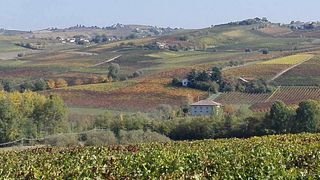 Weinprobe und Tour bei Ivaldi Dario Di Ivaldi En. Andrea