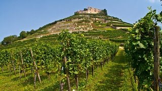 Weingut Fritz Waßmer