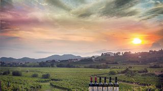 Benedetič Winery