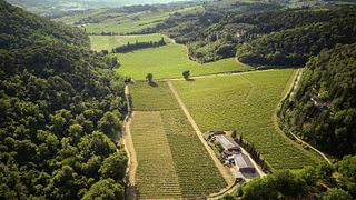 Dégustation et visite de vins chez Carus Vini