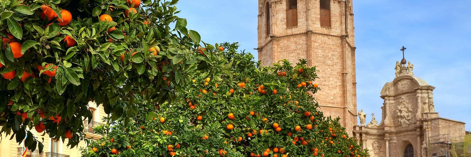 Valencia_Cathedral and orange tree