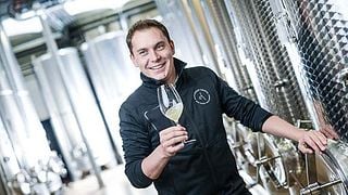 Vinprovning och rundtur på Weingut Krispel